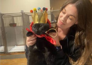 Cat wearing crown with person