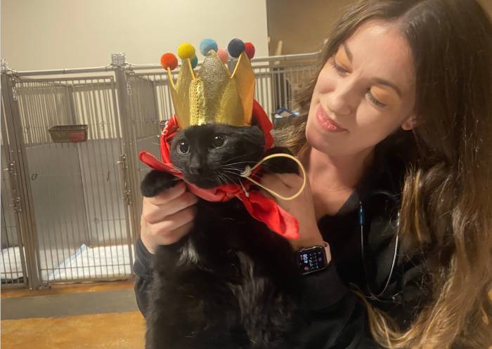 Cat wearing crown with person Cat wearing crown with person