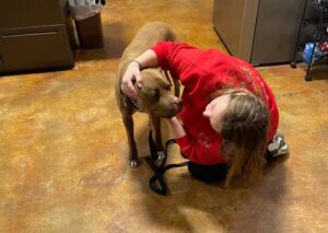 Person comforting dog, petting