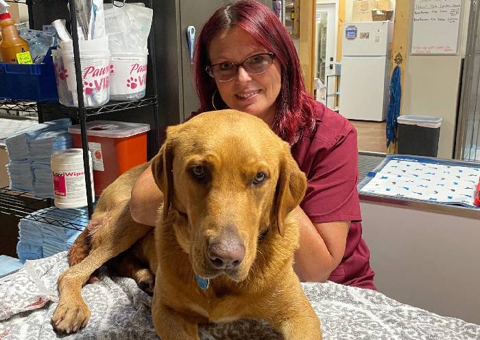Woman and dog, vet Woman and dog, vet