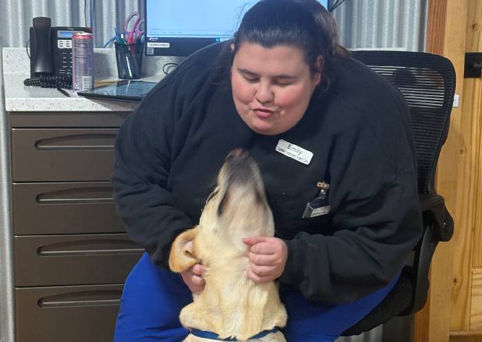 Woman, dog, office, pet Woman, dog, office, pet
