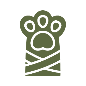 paw with cast icon